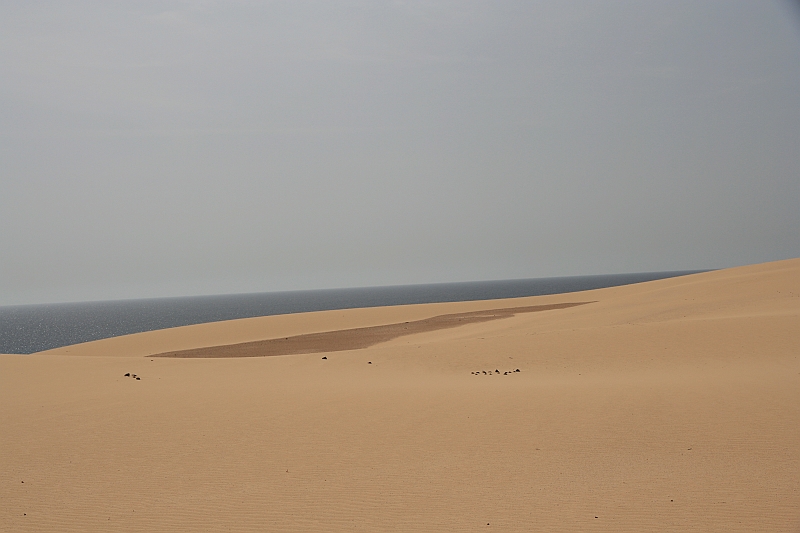 Kanary_2010 092